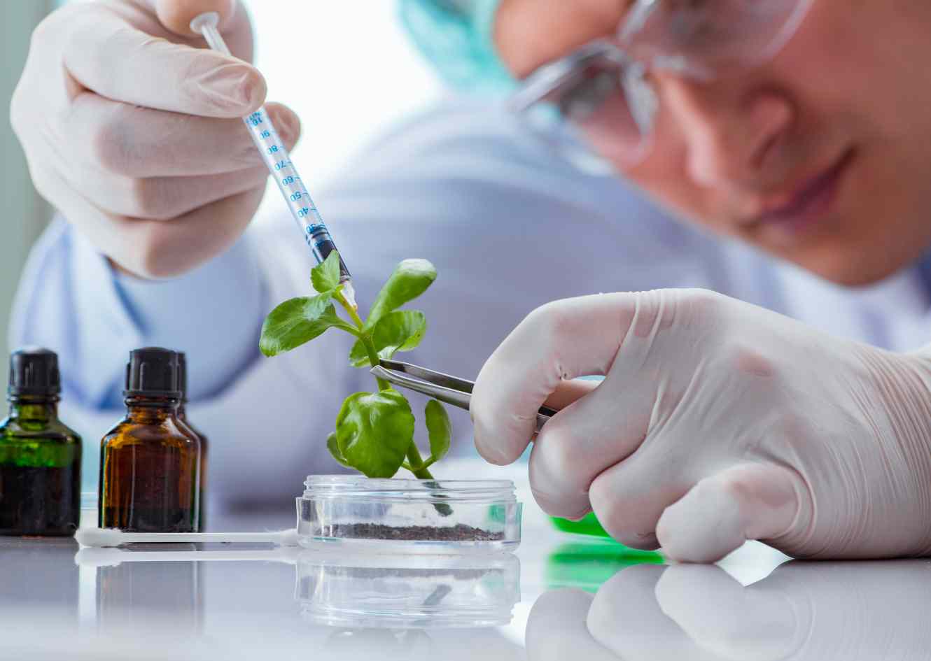 Biotechnology in India